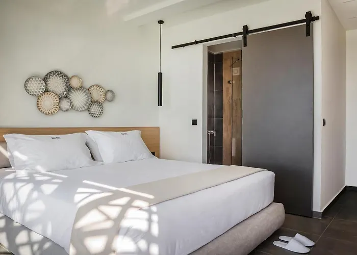 Hotel Erolidae Atsoupades